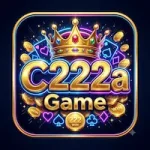 C222a Game