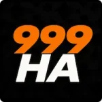 999HA Game