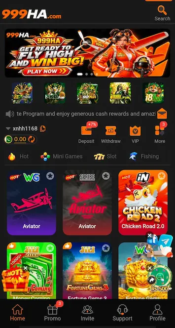 999HA Game