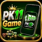 PK11 Game