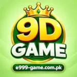 9D Game