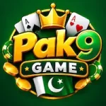 Pak9 Game