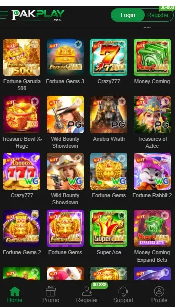 PAKPLAY Game