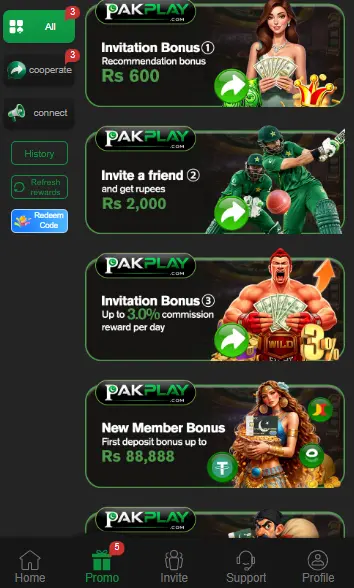 PAKPLAY Game